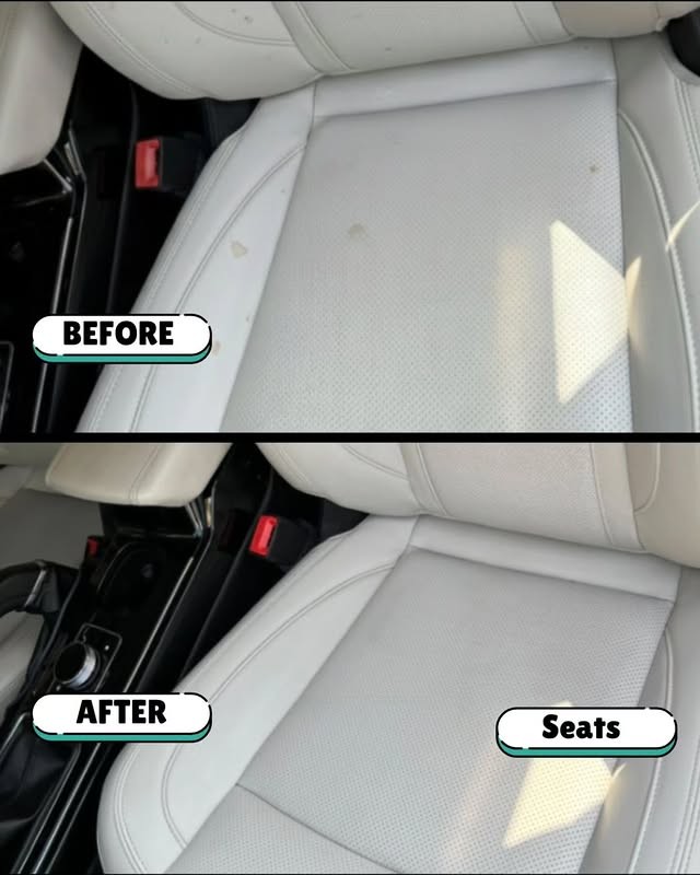 Seat Cleaning Before After